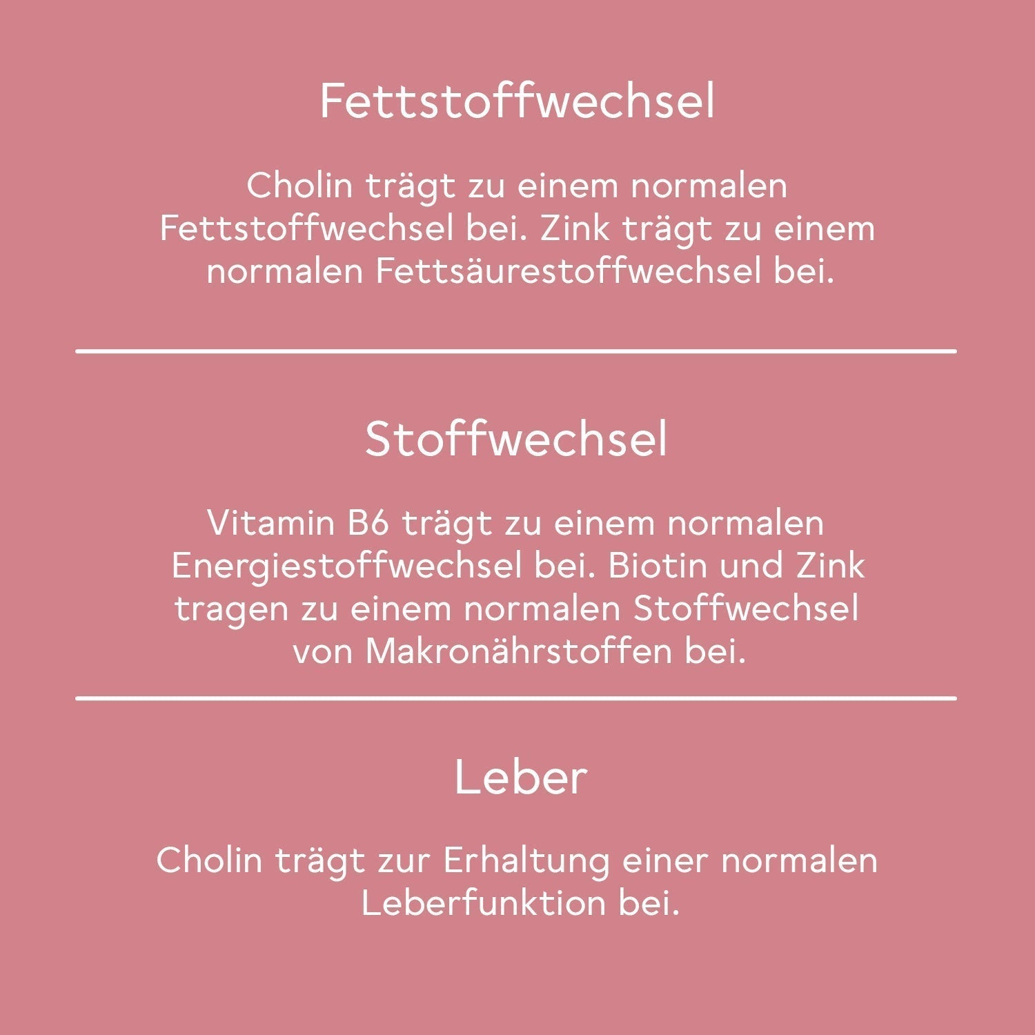 BitterLiebe Beach Body Paket 93-DE