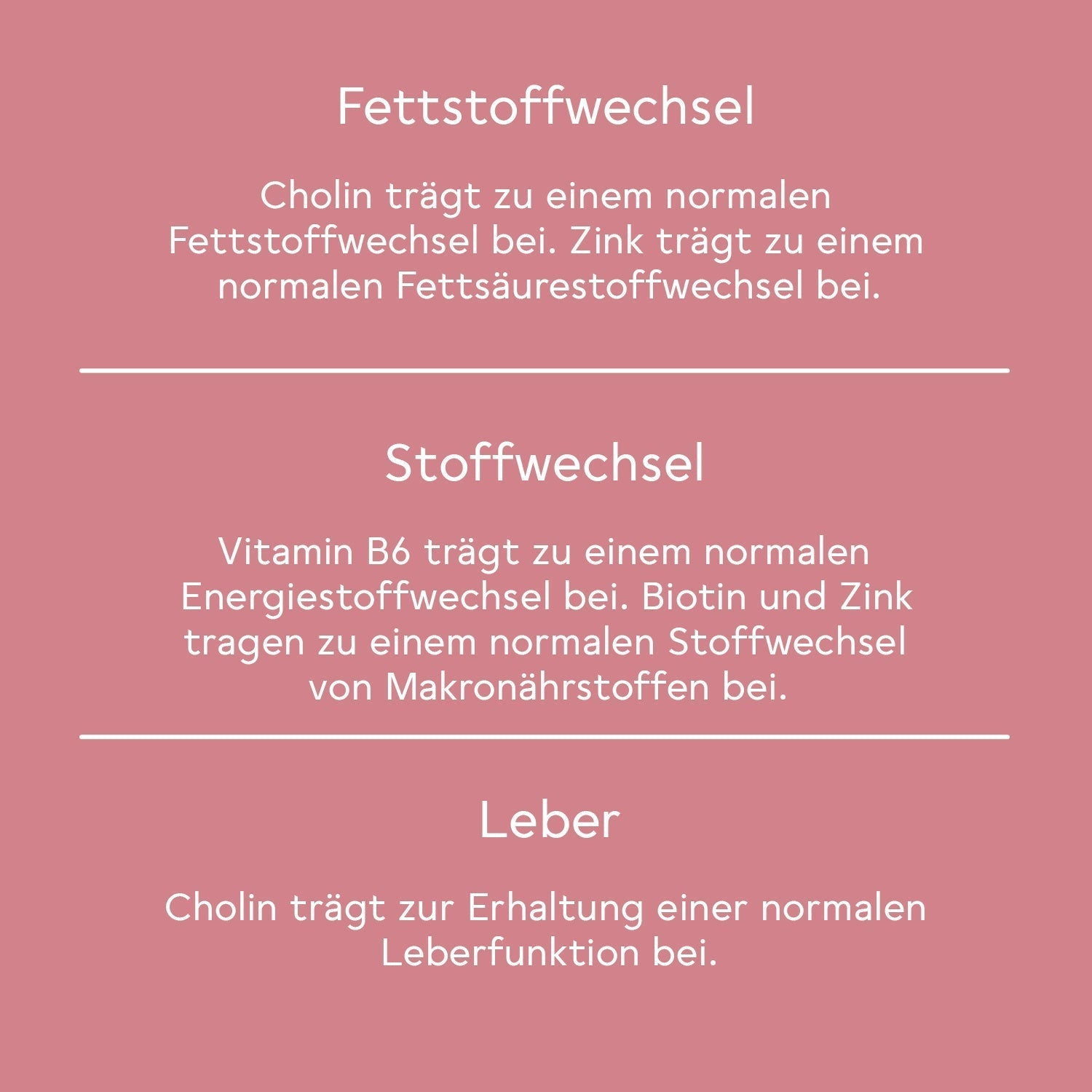 Bitter Stoffwechsel* Komplex - 5-Monats-Set (450 Kapseln) 91-DE