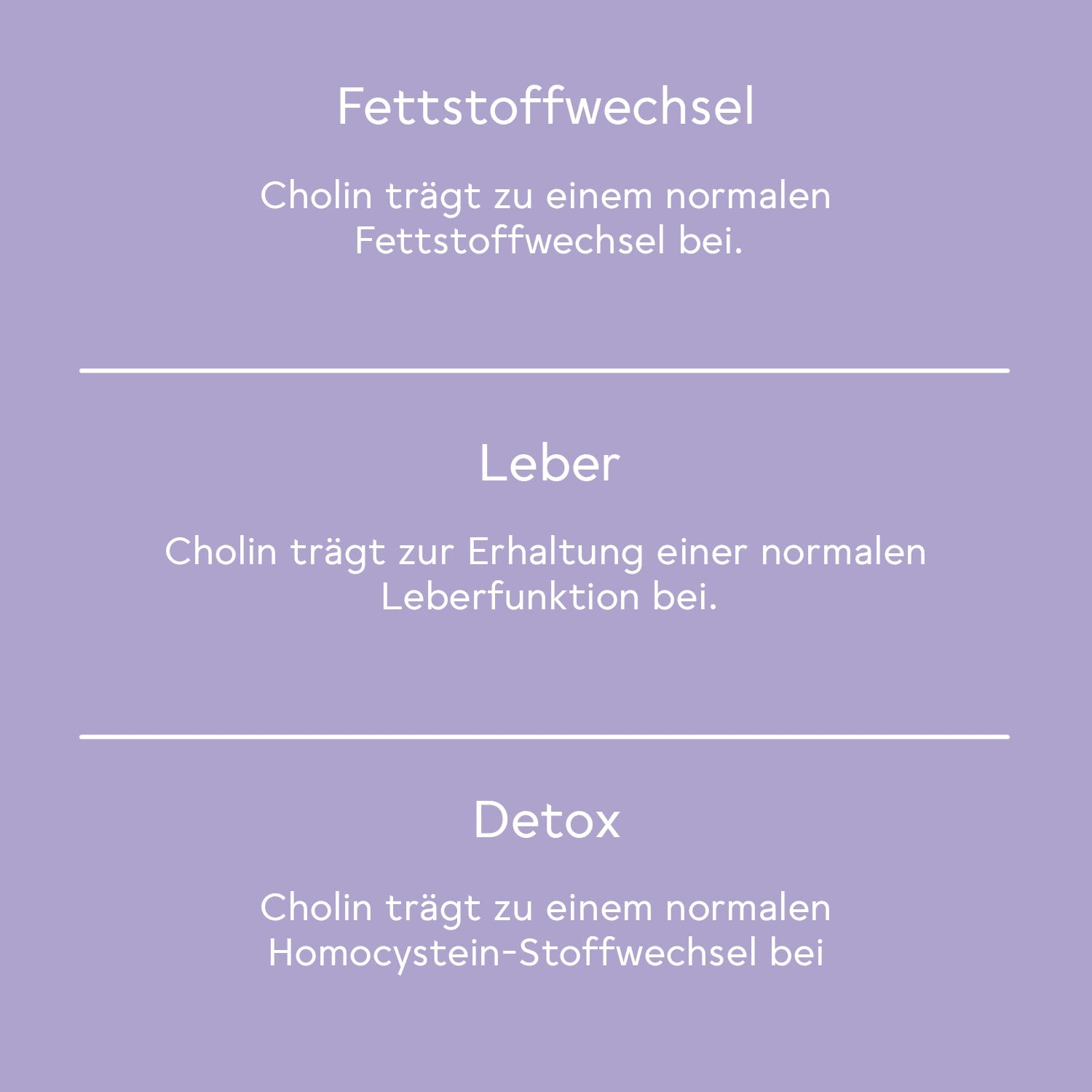 Bitter Leber* Komplex - 3er Set