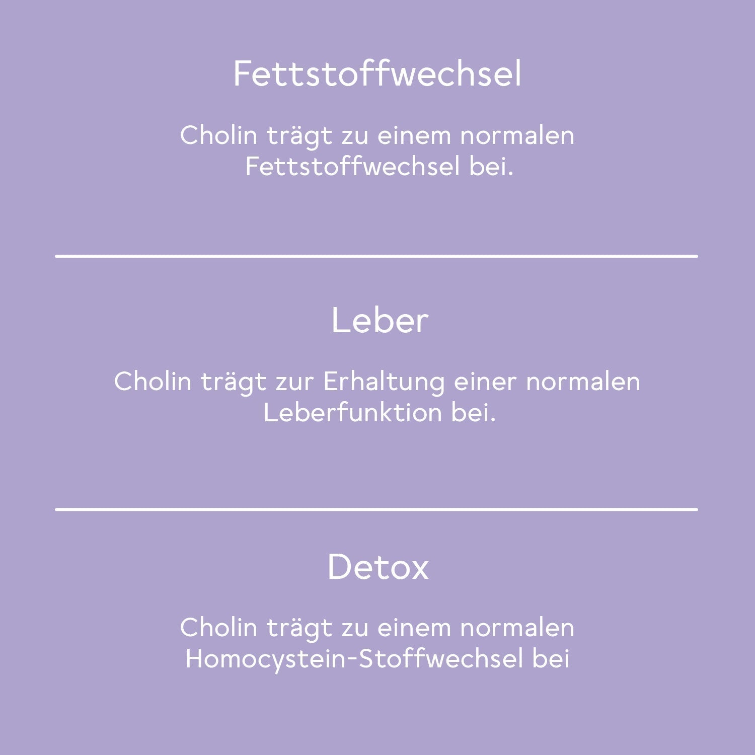 BitterLiebe Bitter Leber* Komplex - 3-Monats-Set - Exklusiv BL-Plus-6-6-Hidden