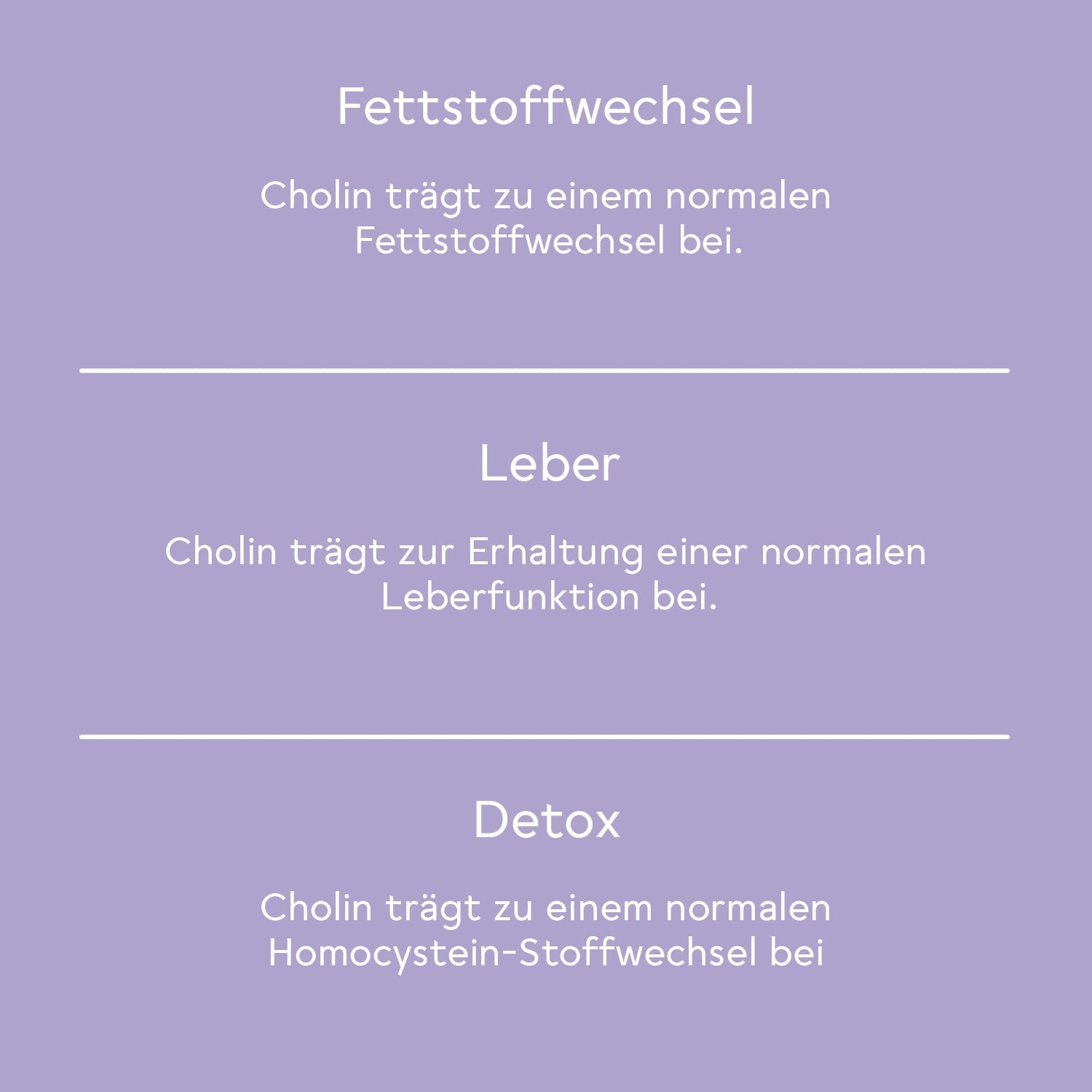 BitterLiebe Leber Aktiv Paket