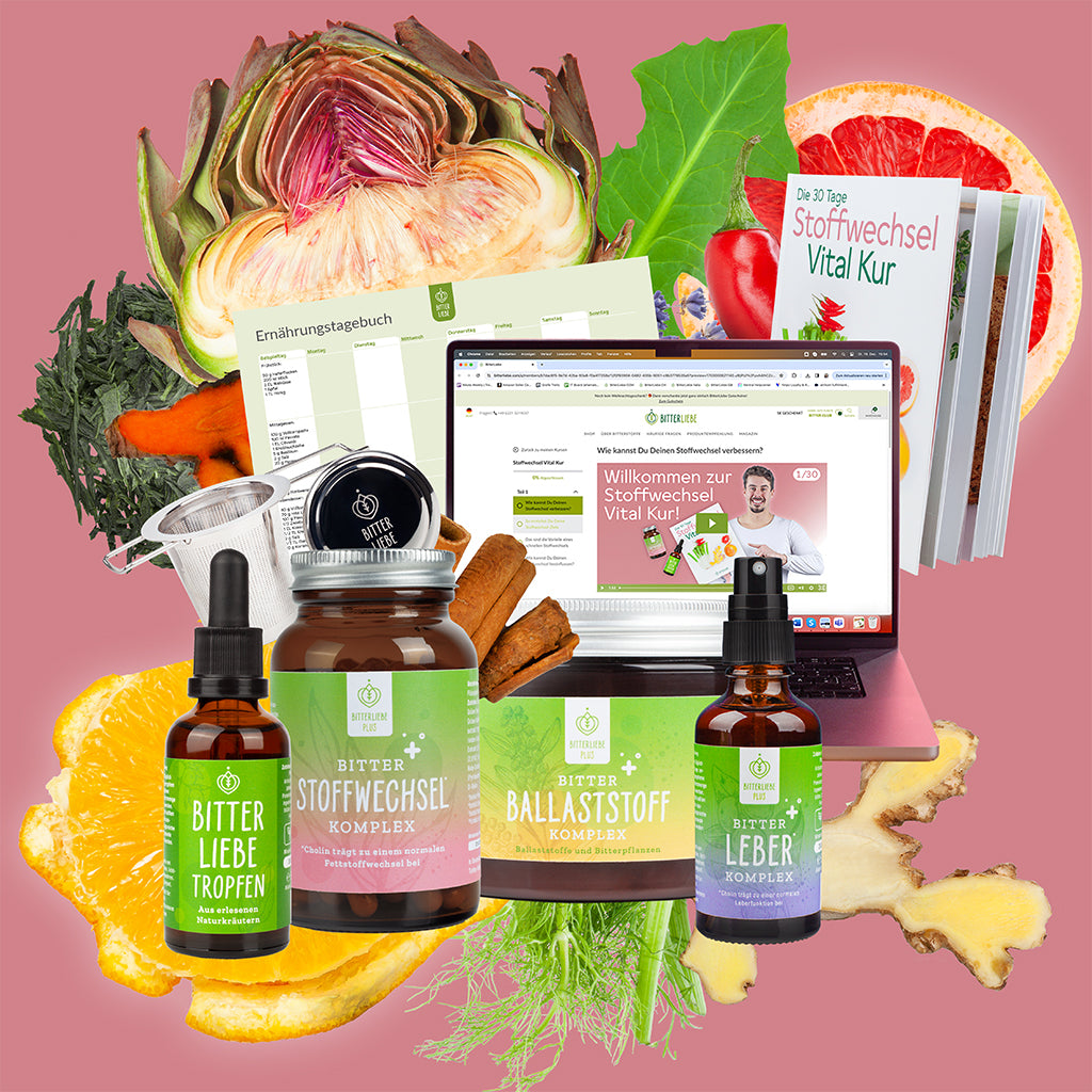 Abnehm Durchstarter Paket 2025 mit 4 Gratis Produkten