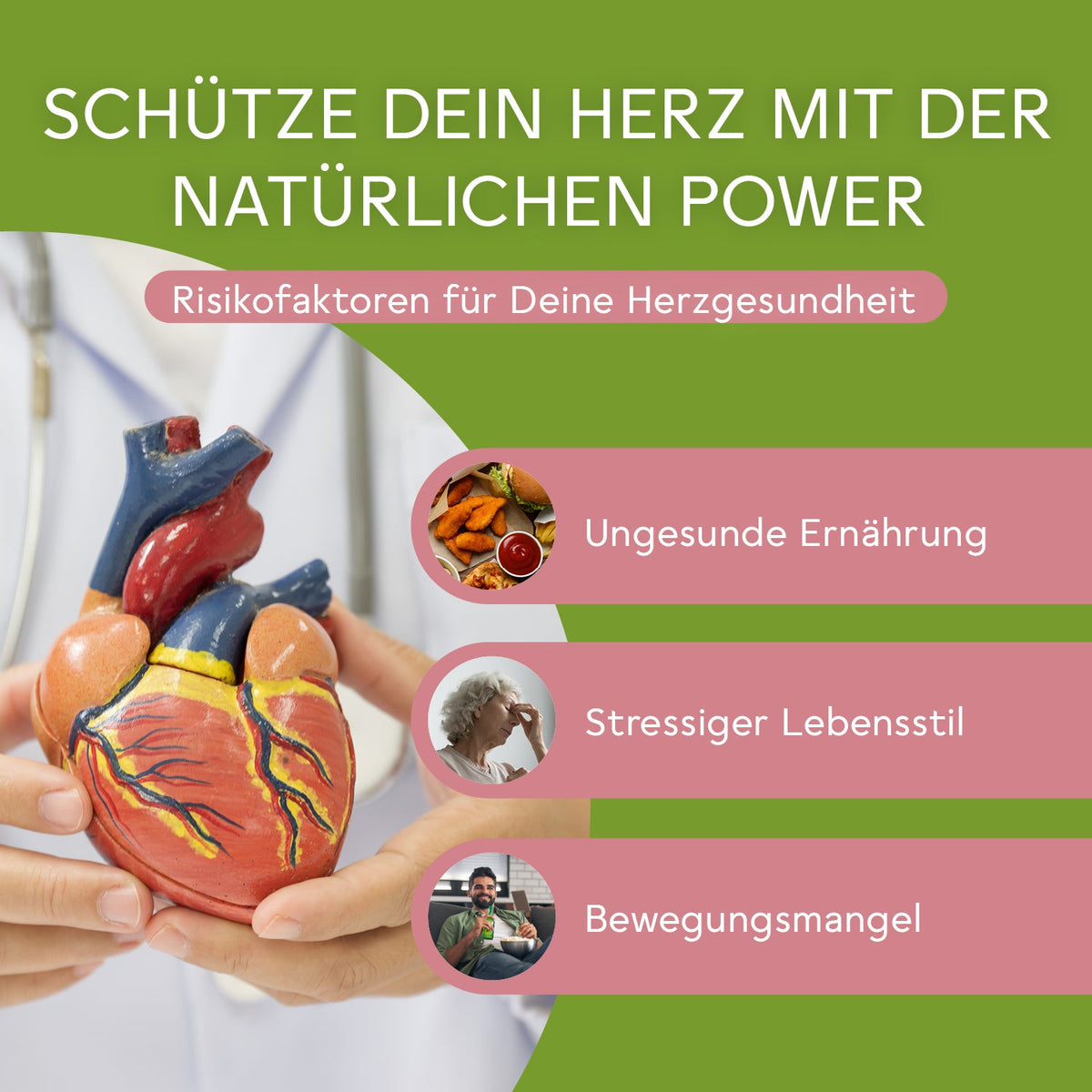 Natural Balance Paket