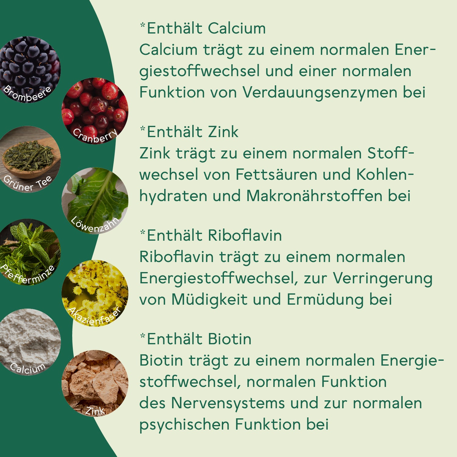 Ballaststoff Komplex Brombeere-Cranberry 6er Set