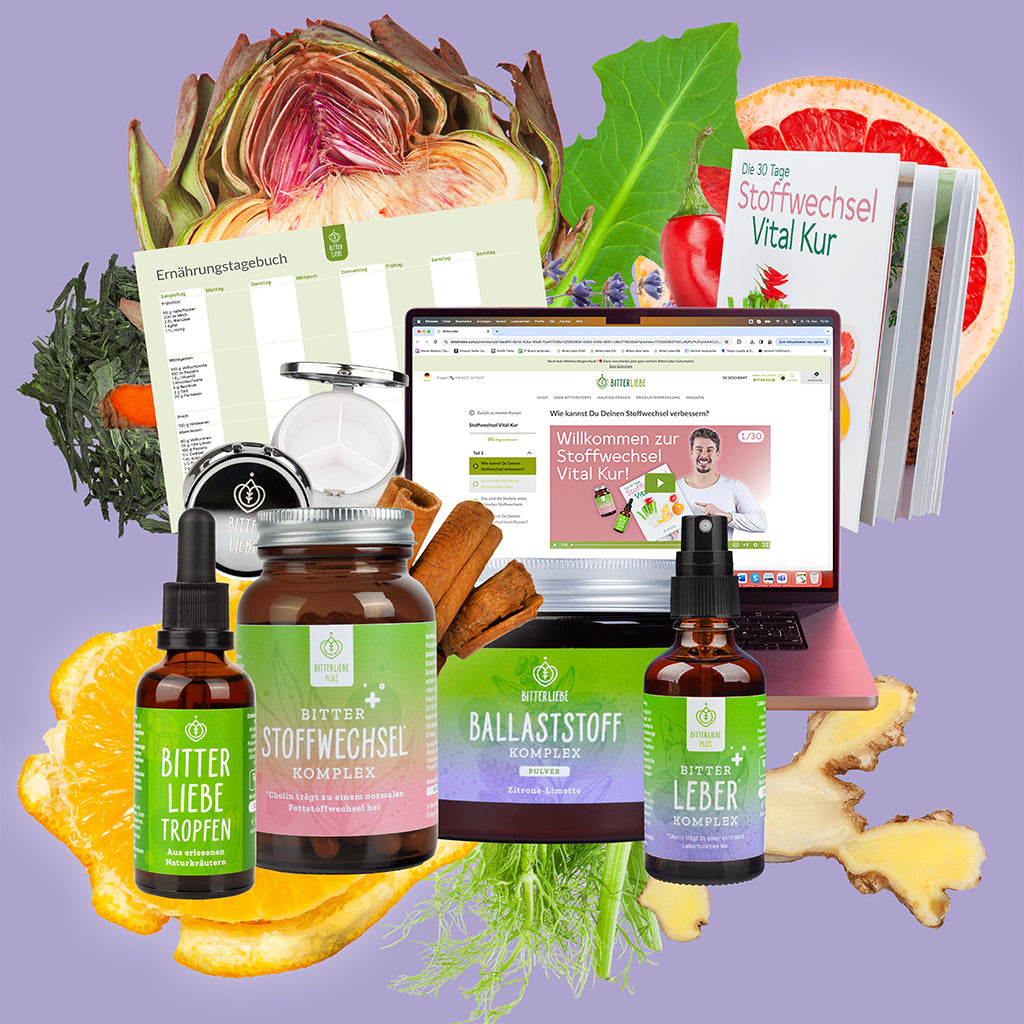 Abnehm Durchstarter Paket Zitrone-Limette mit 4 gratis Produkten