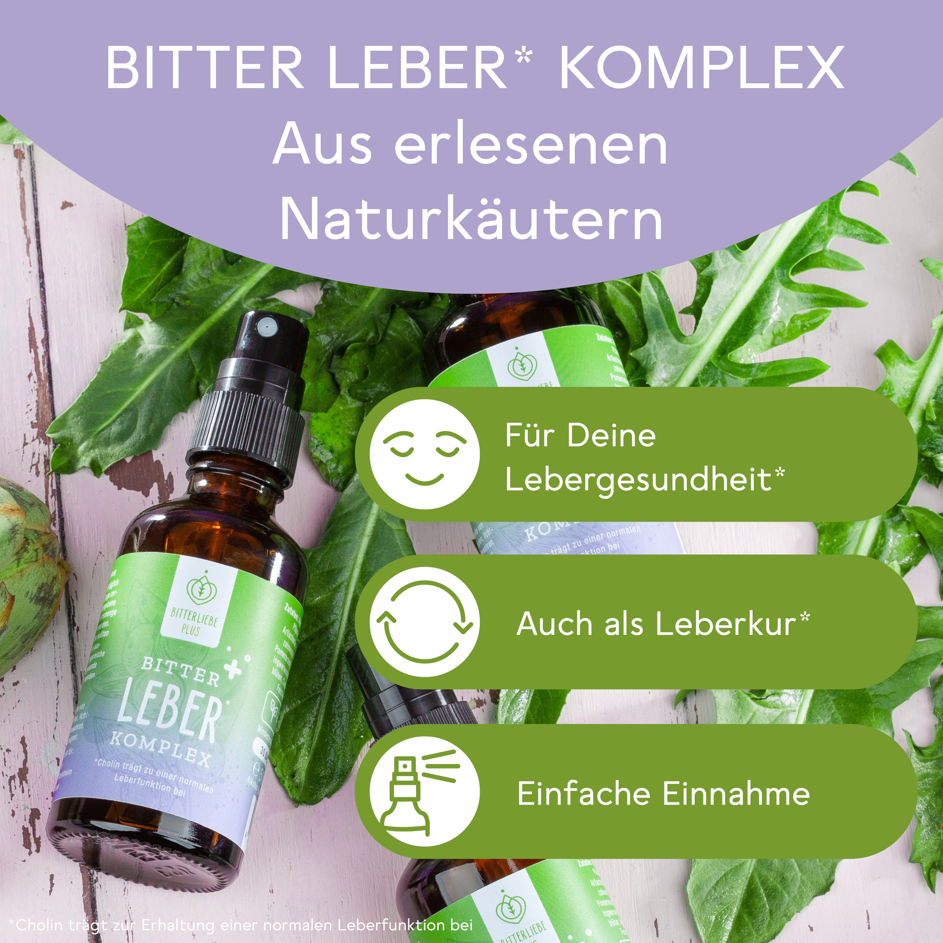 Abnehm Durchstarter Paket Brombeere-Cranberry mit 4 gratis Produkten