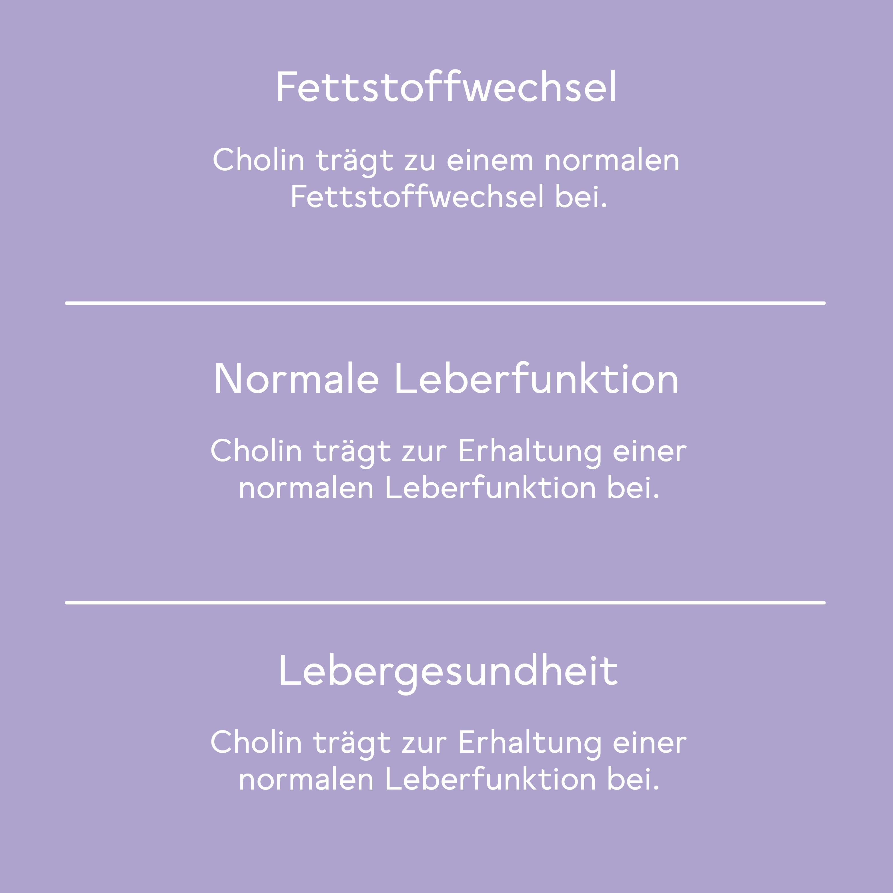 Abnehm Durchstarter Paket Brombeere-Cranberry mit 4 gratis Produkten