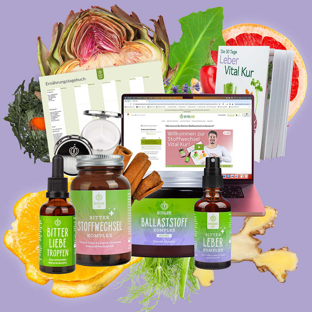 Abnehm Durchstarter Paket Brombeere-Cranberry mit 4 gratis Produkten