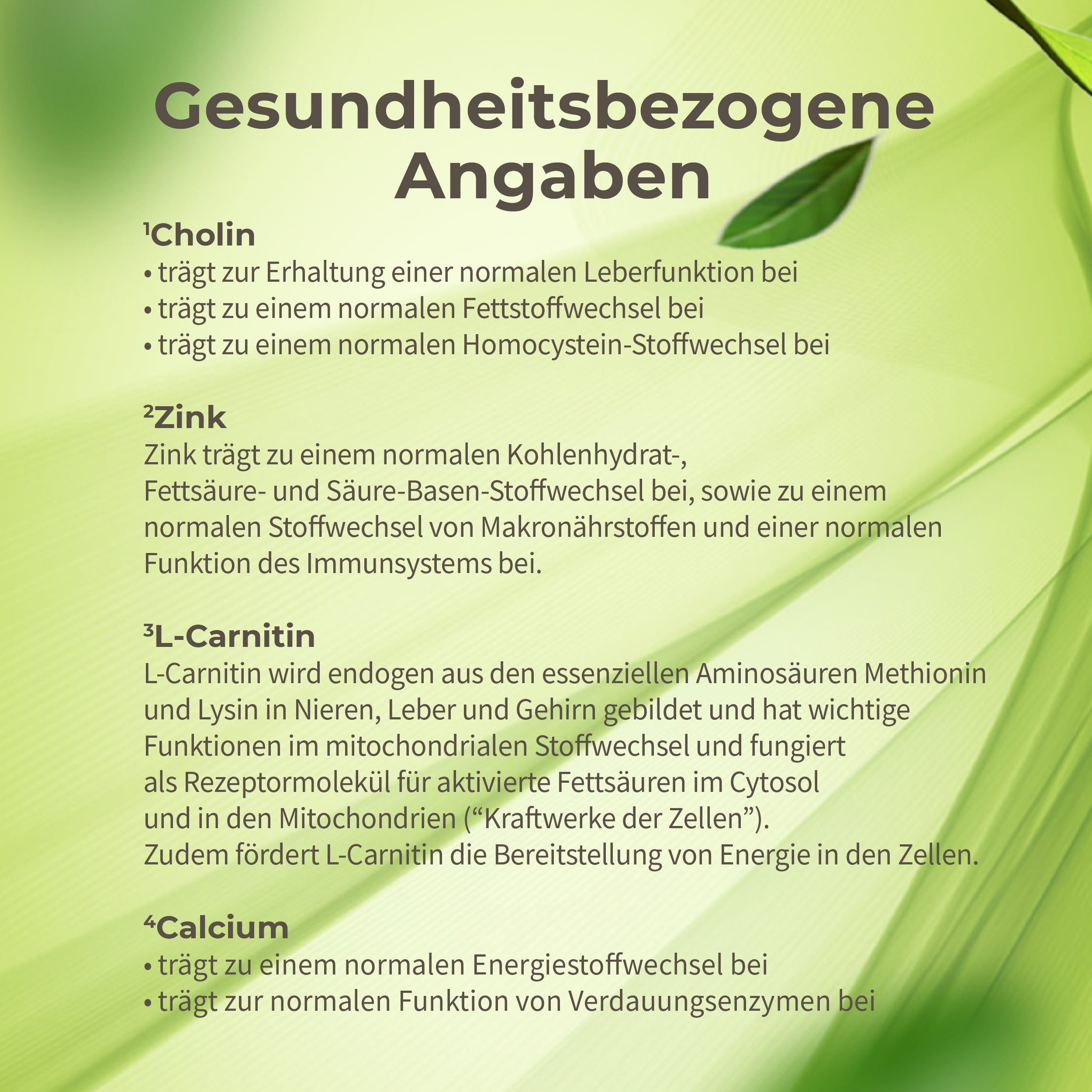 Leber* Reset Paket