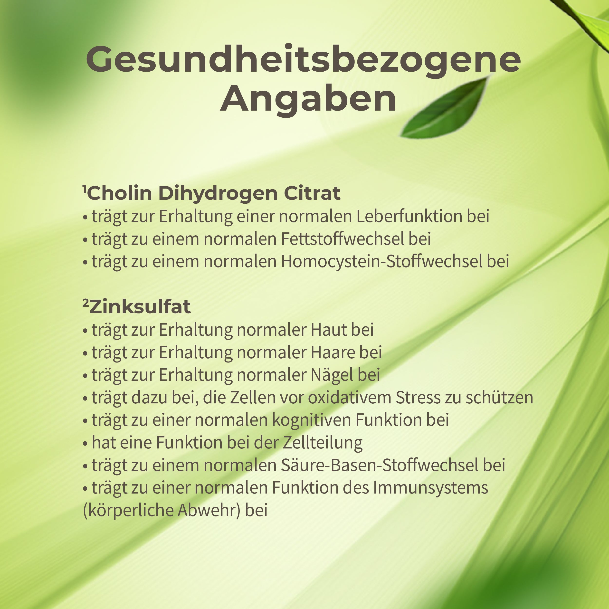 Wohlfühl Durchstarter 2026