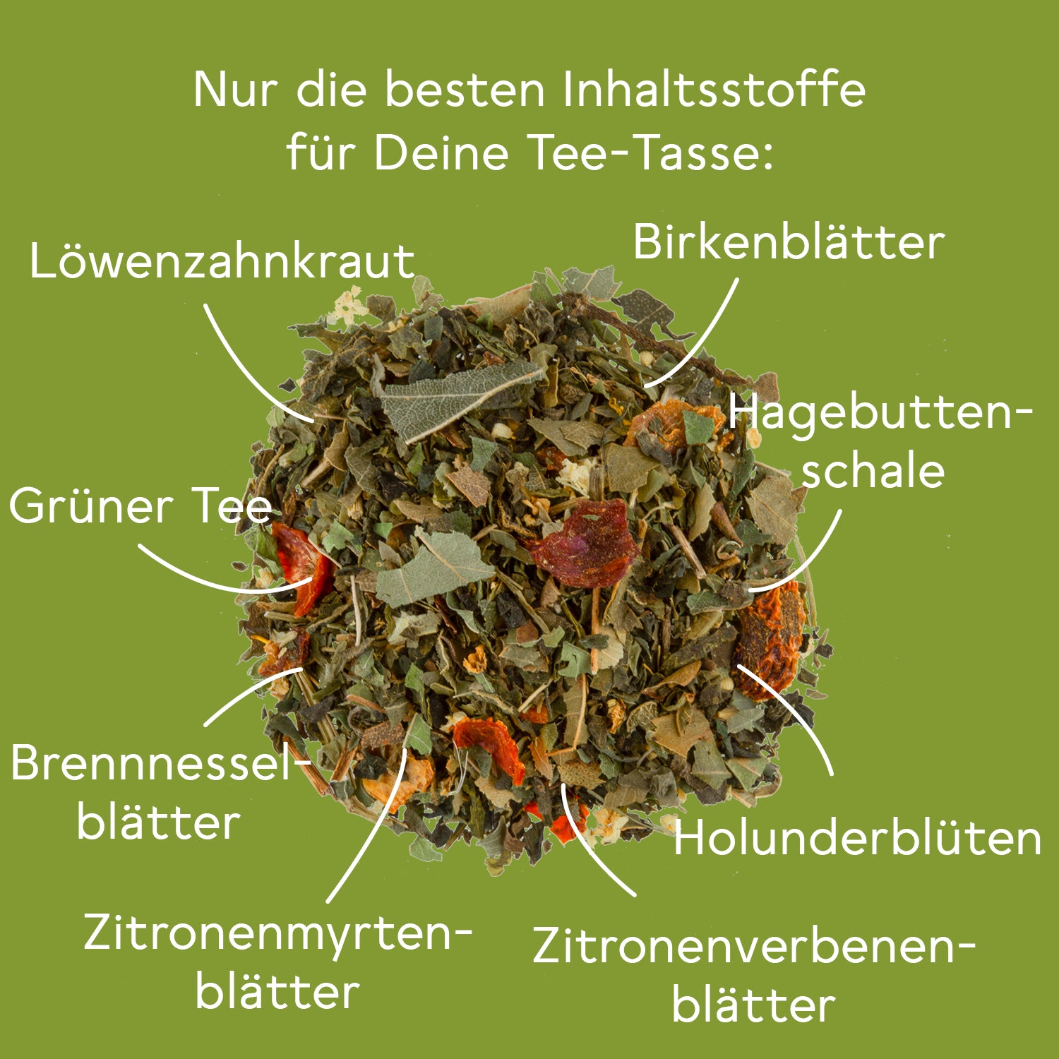 Bio Kräuterkur - Set