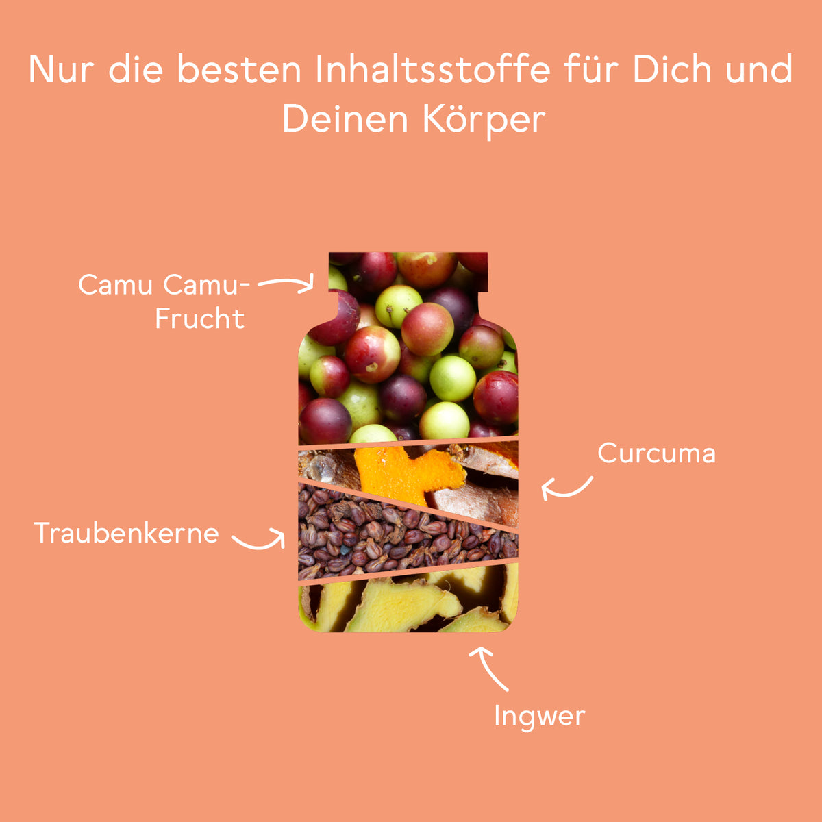 Bitter Immun Komplex - 3er Set