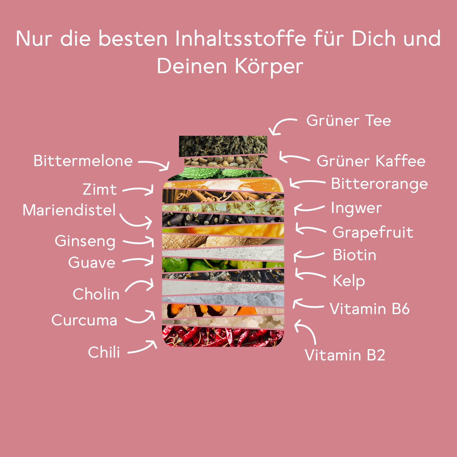 Bitter Stoffwechsel* Komplex