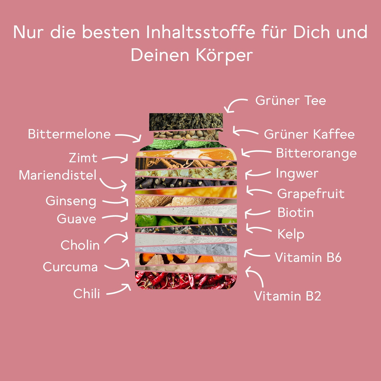 Bitter Stoffwechsel* Komplex - Monatspackung (90 Kapseln) - Exklusiv