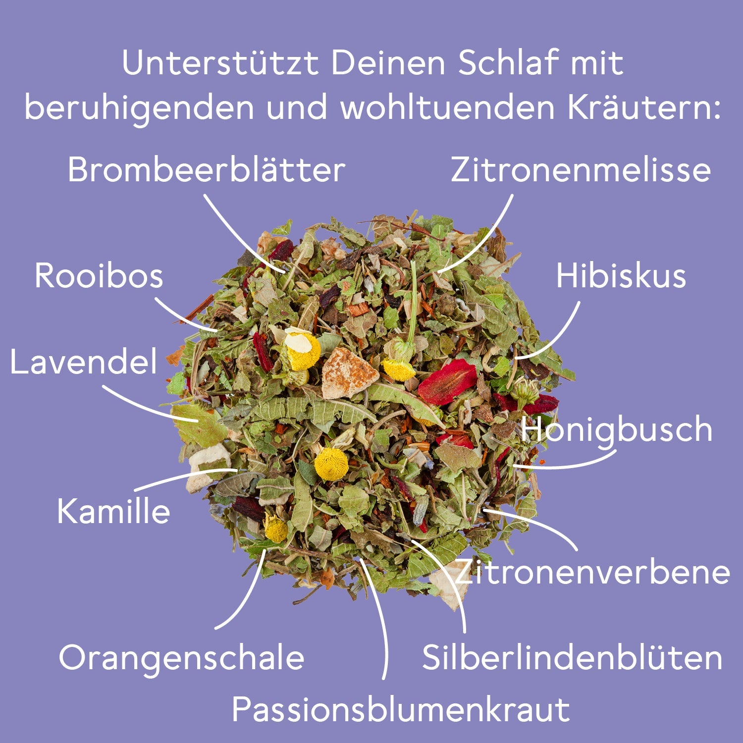 Bio Gute Nacht Tee - Set