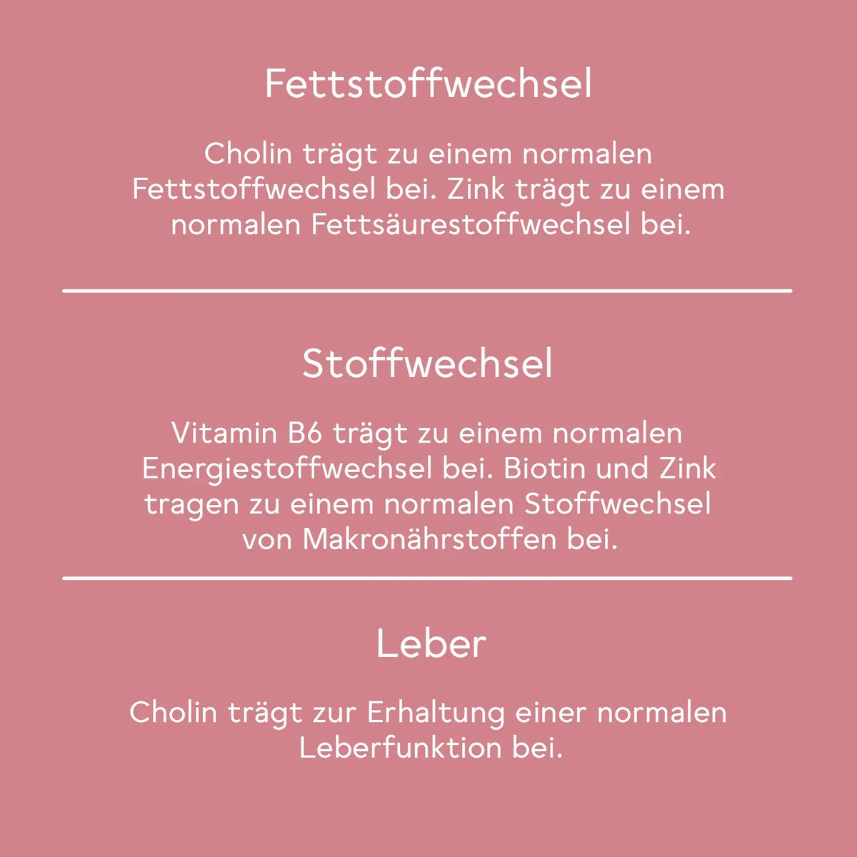 BitterLiebe Sommer Fitness-Paket