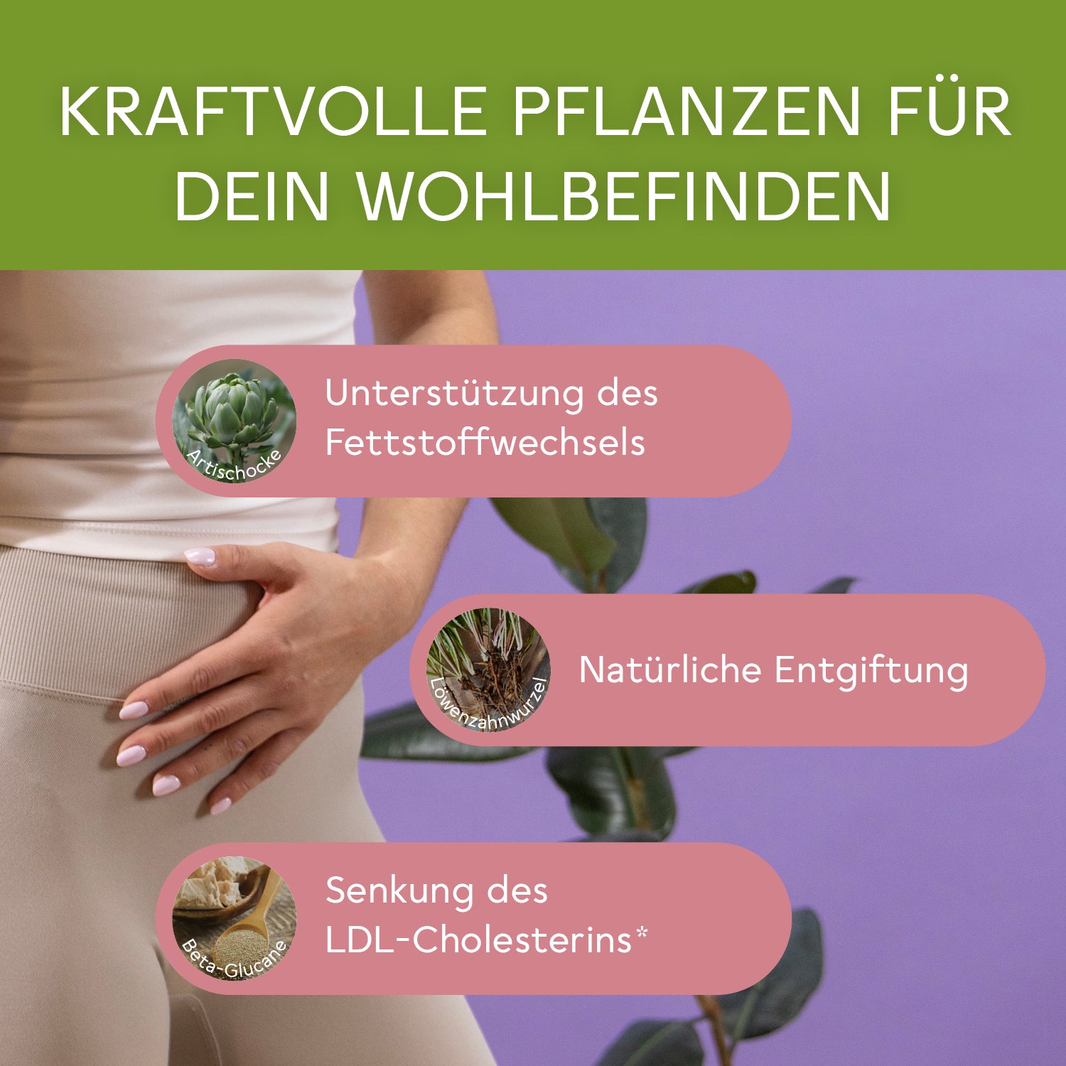 BitterLiebe Cholesterin* Komplex