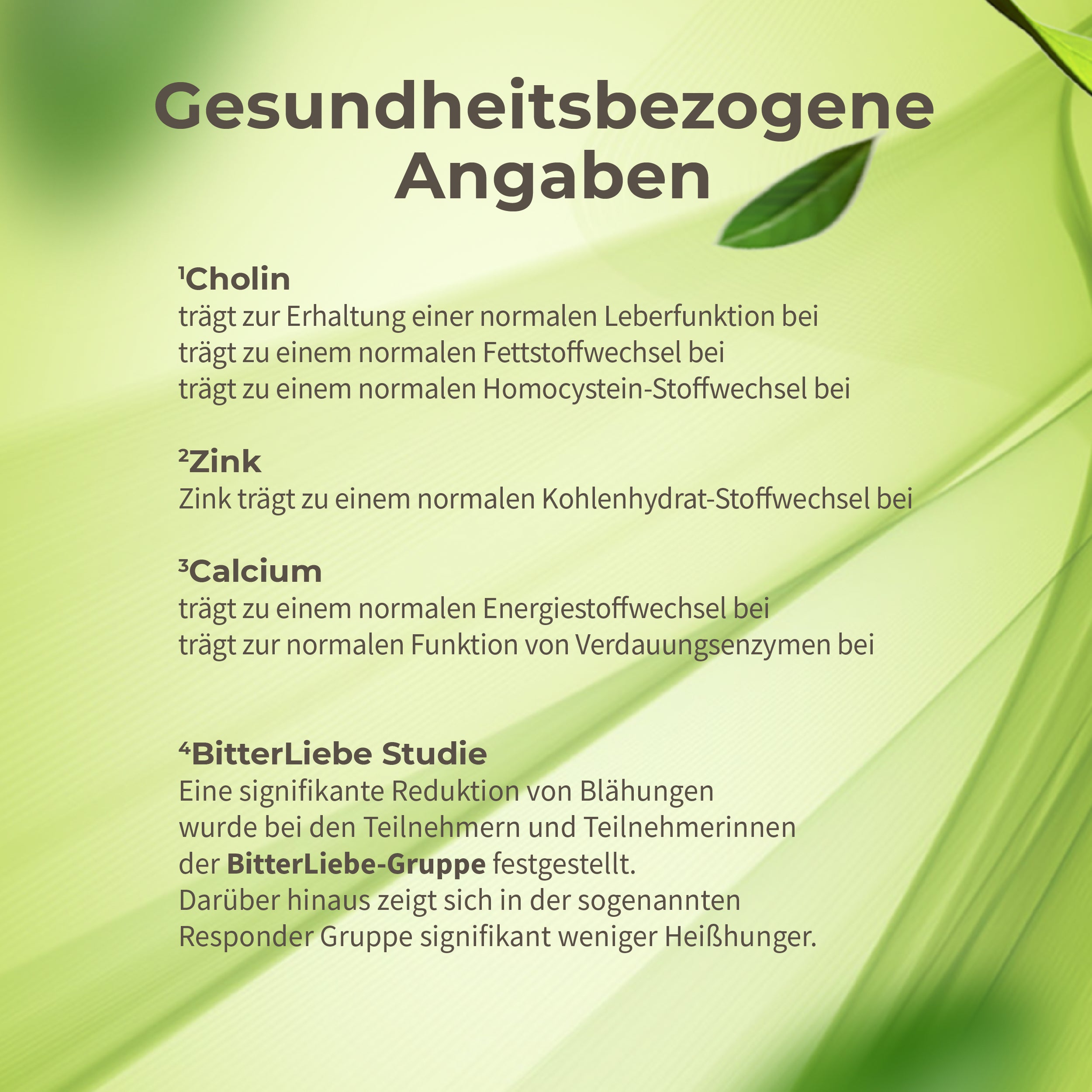 Durchstarter Paket 2026