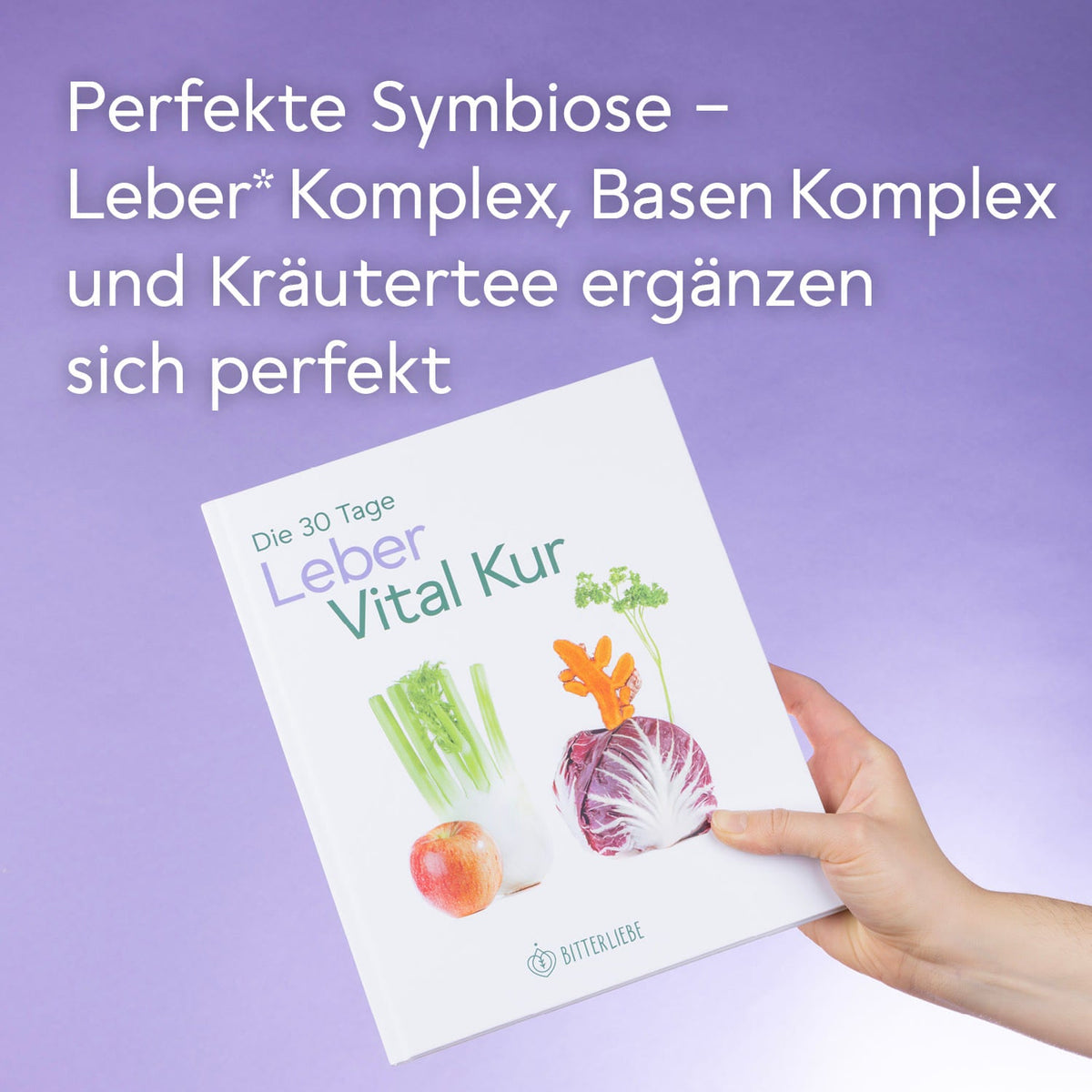 Leber-Vital-Kur-Ersatz-AMZ-Grafik-1