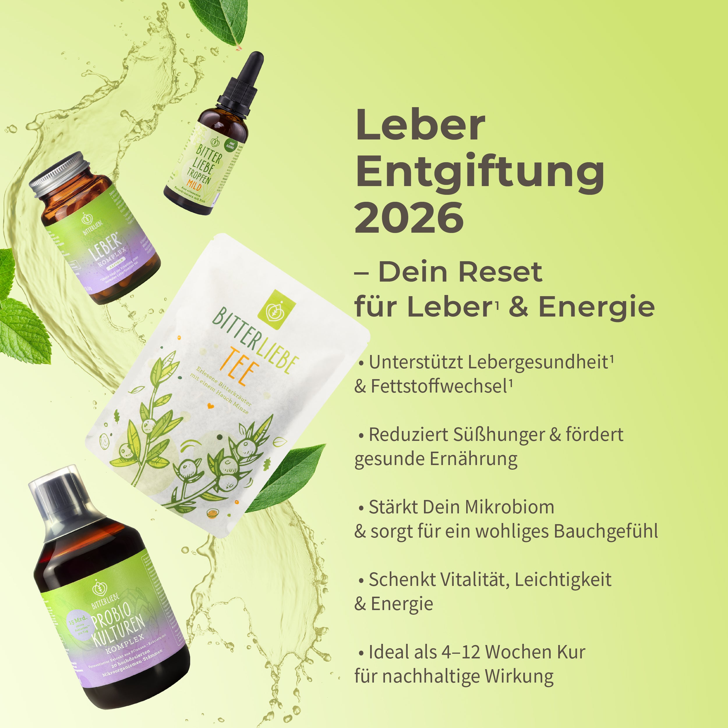 Leber Entgiftung 2026